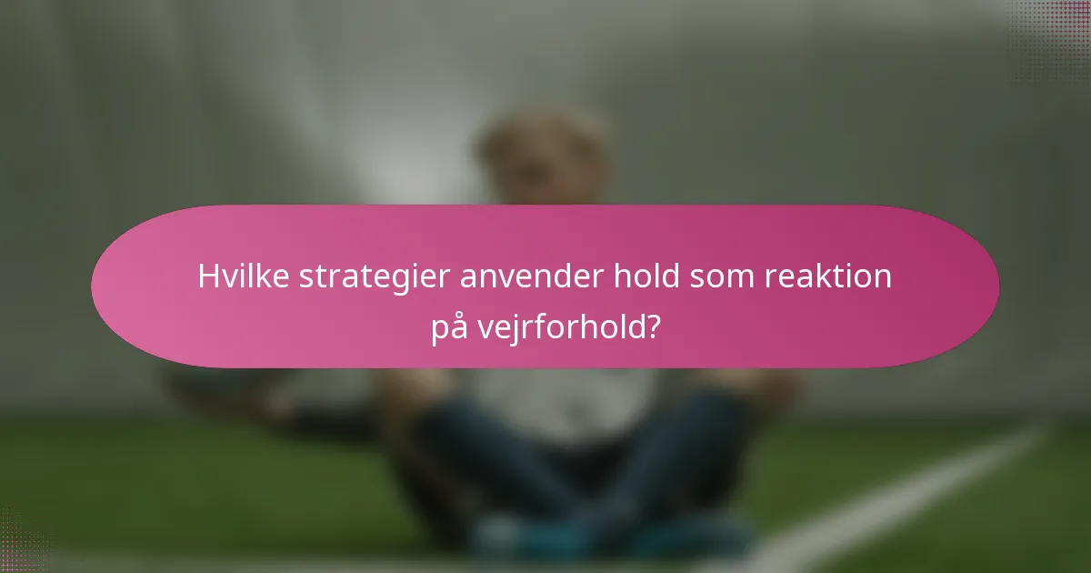 Hvilke strategier anvender hold som reaktion på vejrforhold?