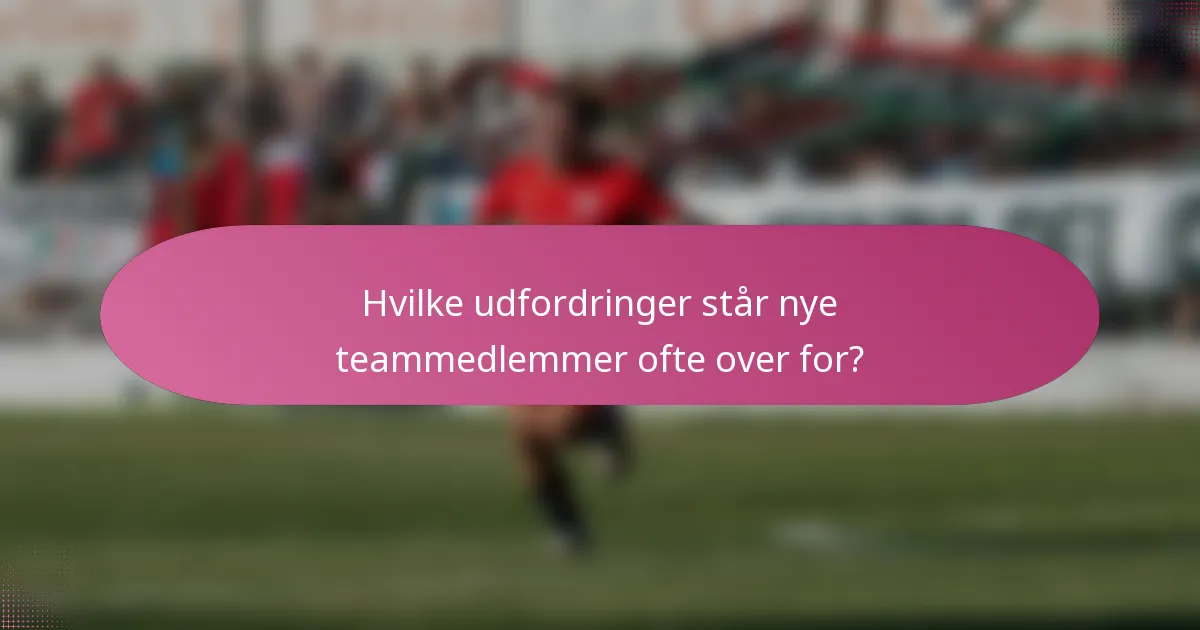 Hvilke udfordringer står nye teammedlemmer ofte over for?