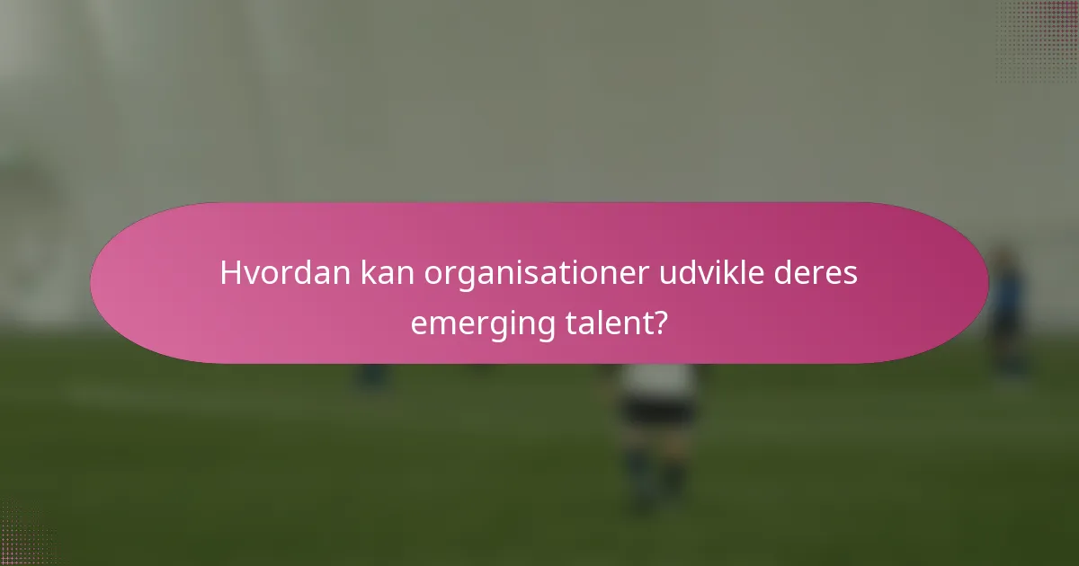 Hvordan kan organisationer udvikle deres emerging talent?